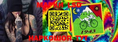 гидра Будённовск