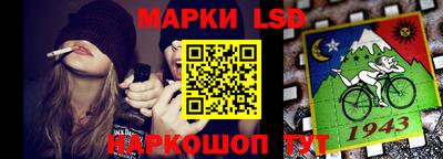 гидра Будённовск
