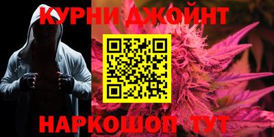 гидра Будённовск