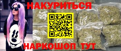 гидра Будённовск