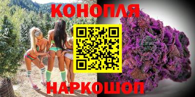 гидра Будённовск
