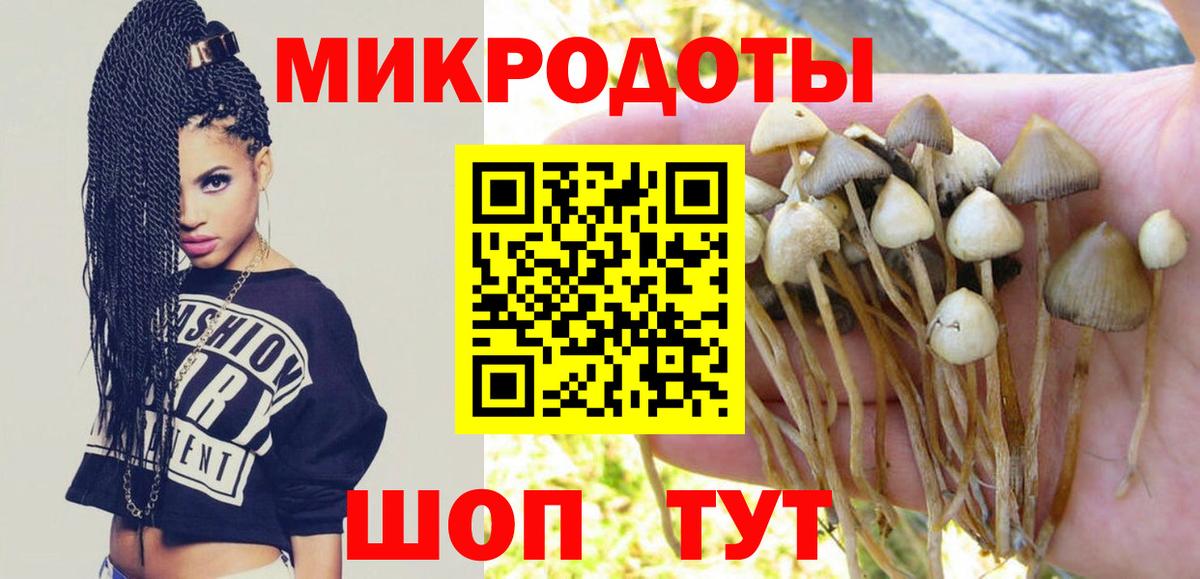 Псилоцибиновые грибы Magic Shrooms Владимир