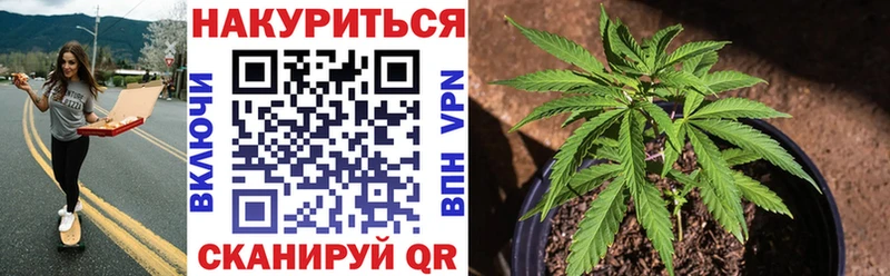 цены Владимир МАРИХУАНА индика